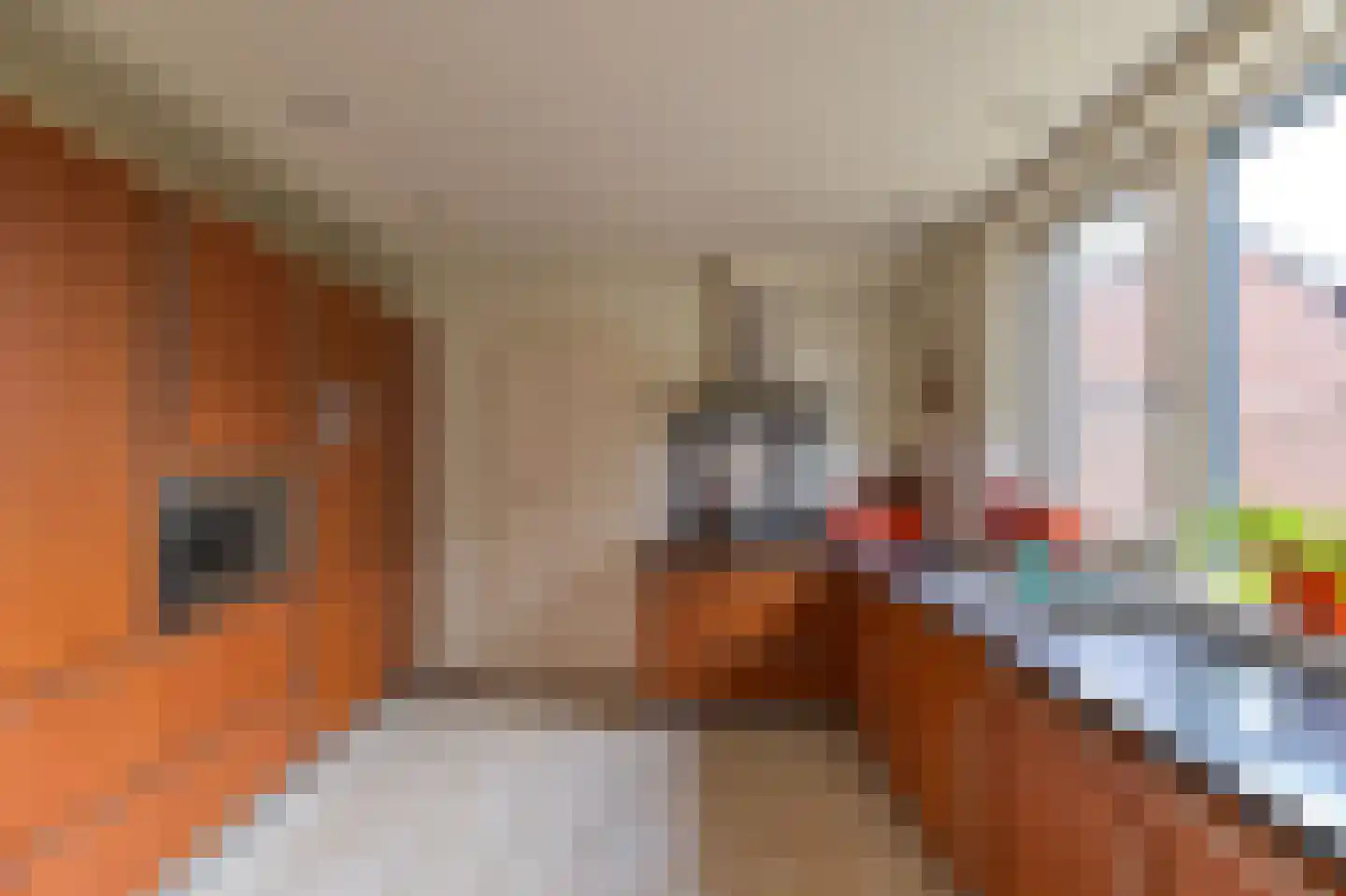 Geldersebaan 57 Tegelen thumbnail 7