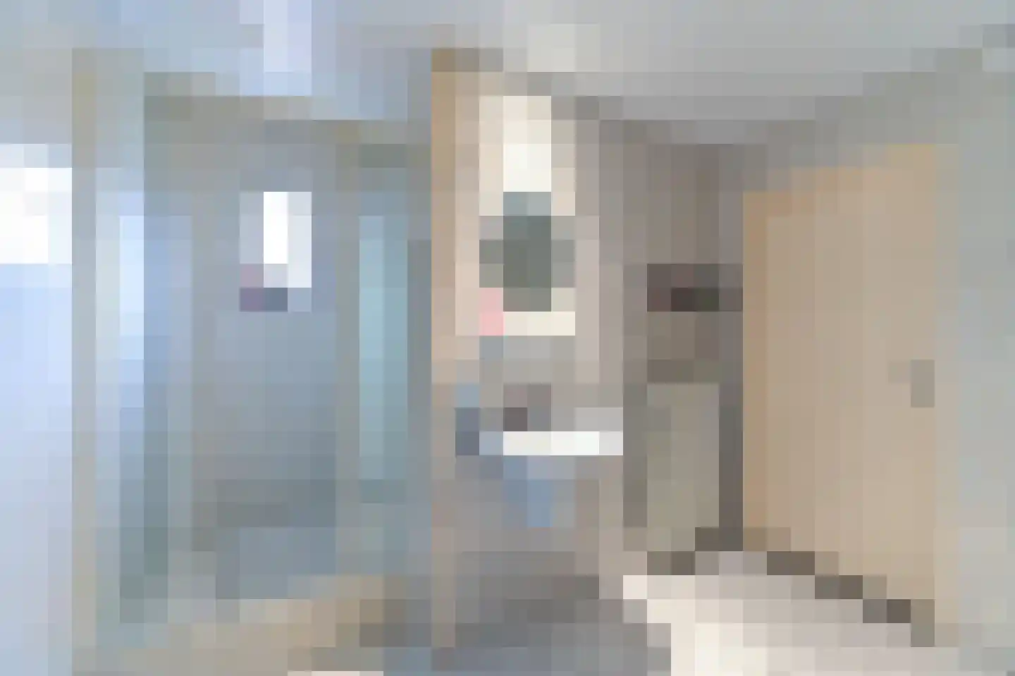 Geldersebaan 57 Tegelen thumbnail 9