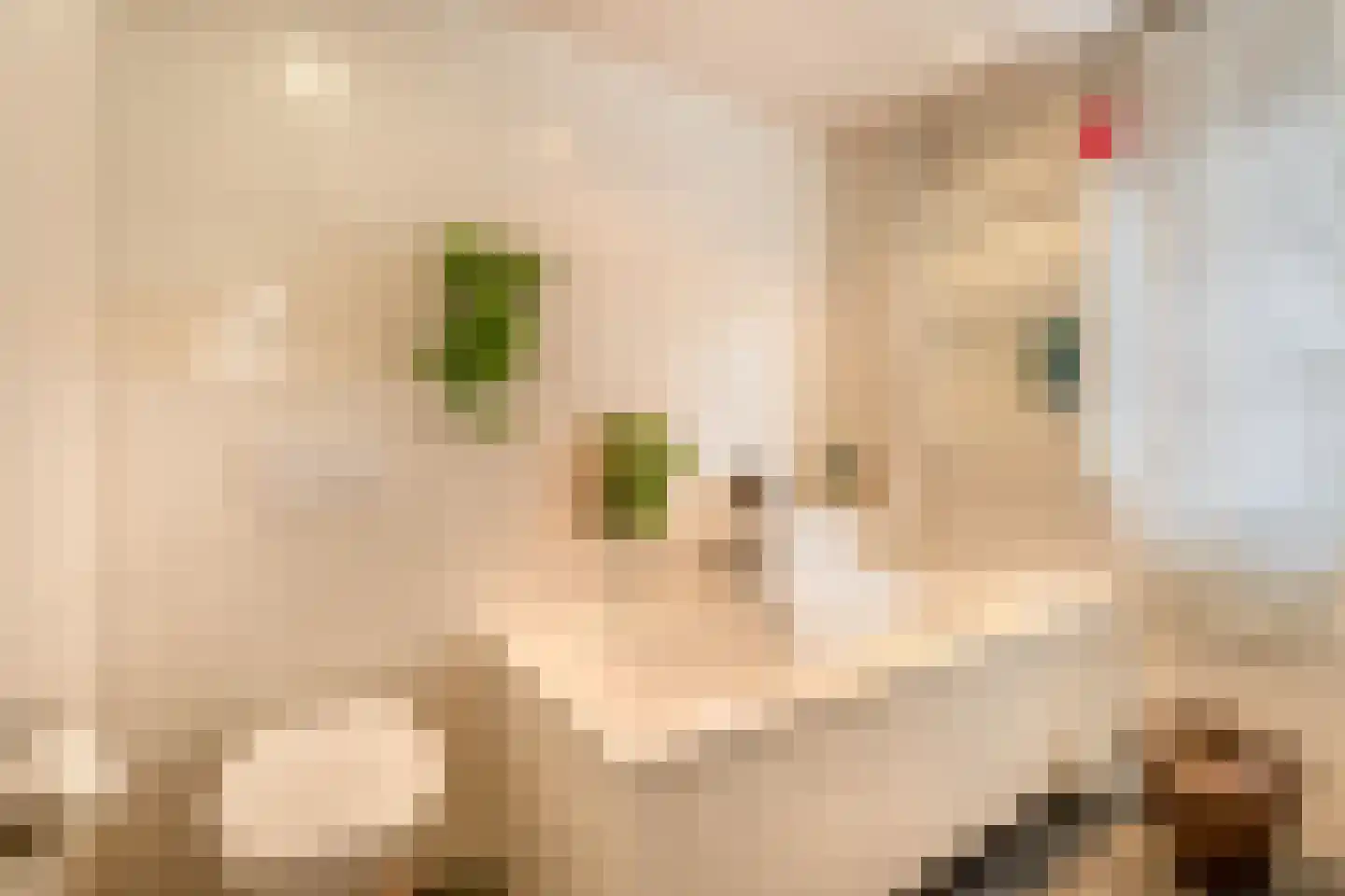 Geldersebaan 9 Tegelen thumbnail 15