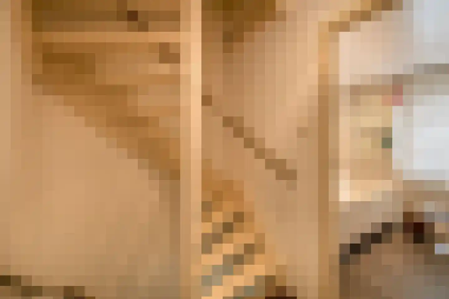 Geldersebaan 9 Tegelen thumbnail 17