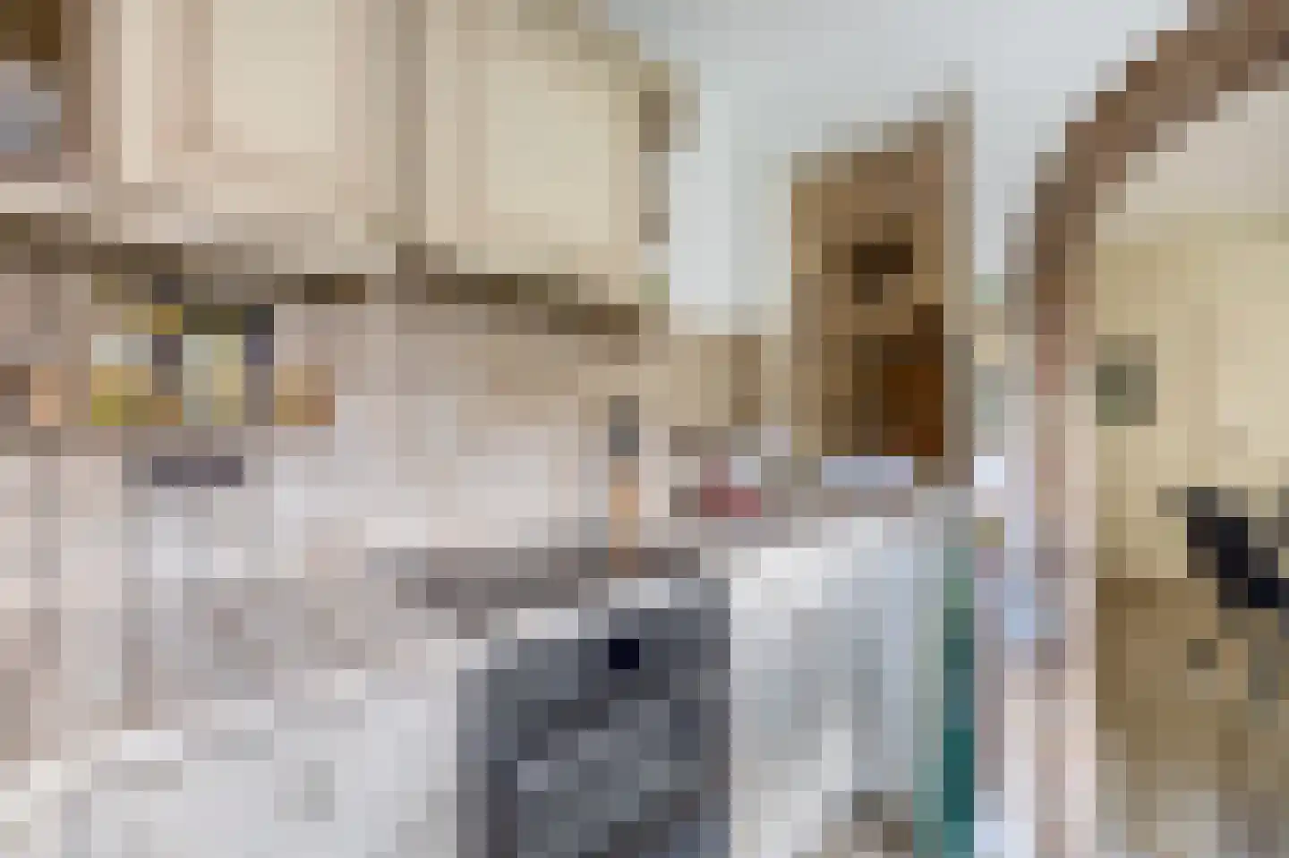 Geldersebaan 9 Tegelen thumbnail 8