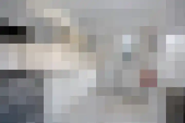 Geldersedam 39 's-Hertogenbosch thumbnail 13