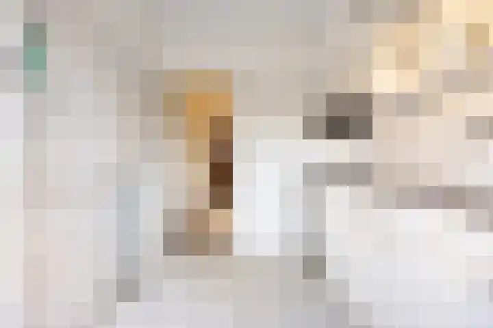 Geldersedam 39 's-Hertogenbosch thumbnail 16