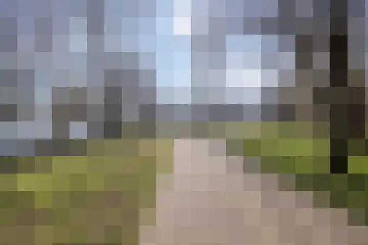 Geldersedam 39 's-Hertogenbosch thumbnail 49