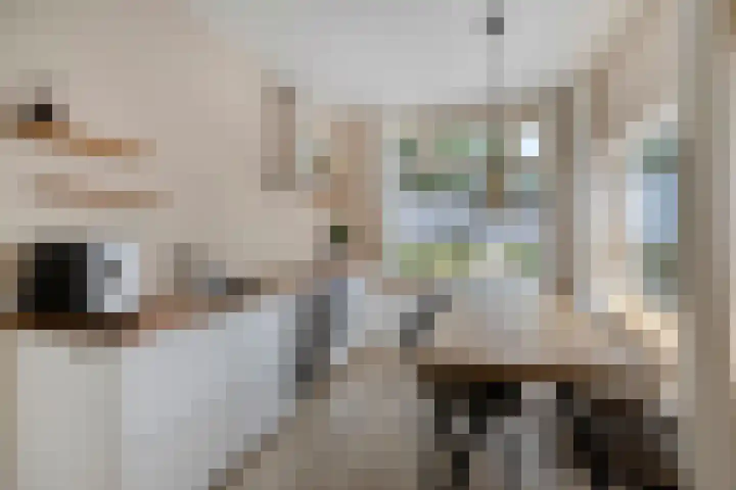 Geldersedam 46 's-Hertogenbosch thumbnail 13