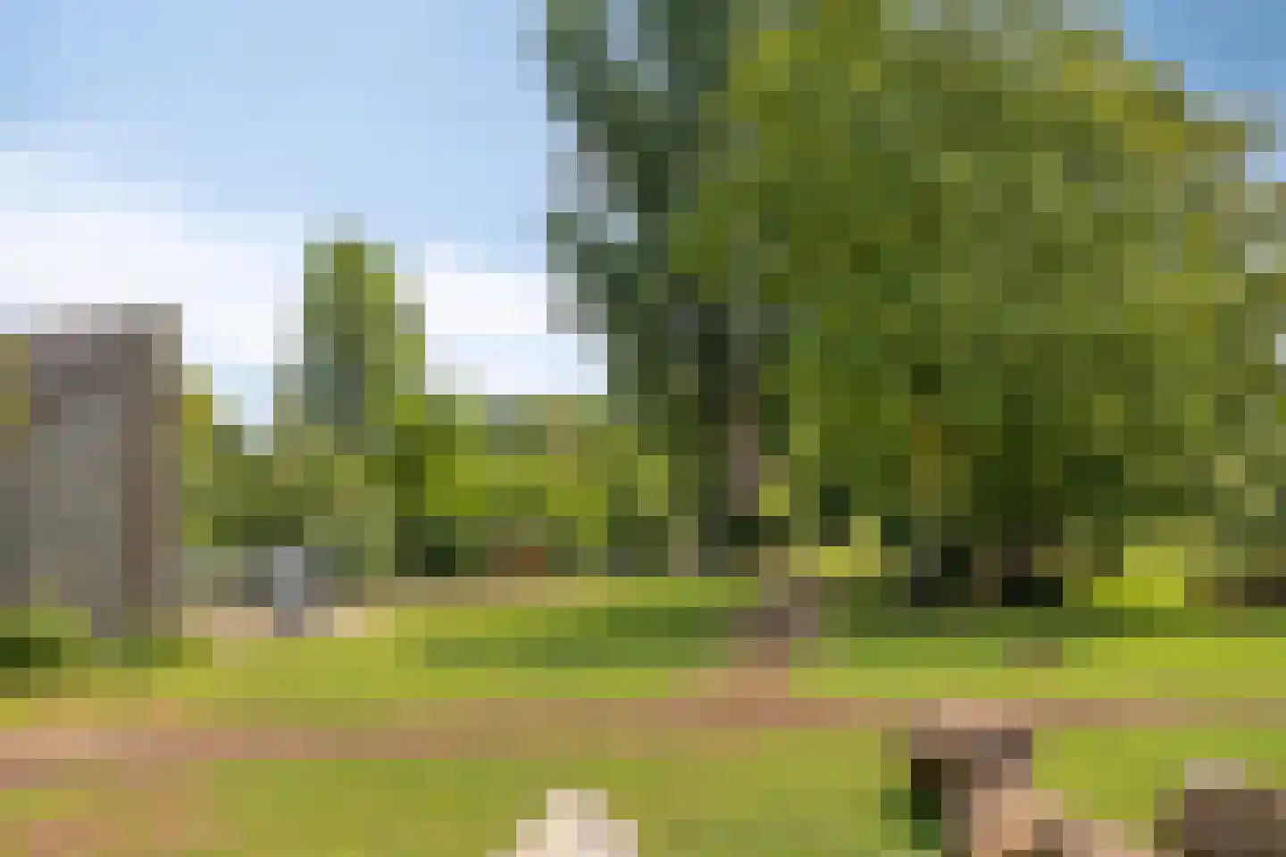 Geldersedam 46 's-Hertogenbosch thumbnail 23