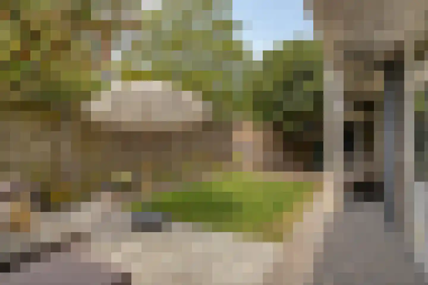 Geldersedam 46 's-Hertogenbosch thumbnail 5