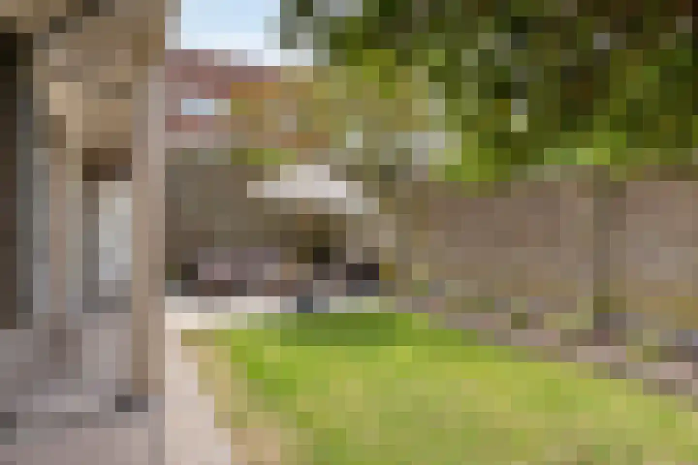 Geldersedam 46 's-Hertogenbosch thumbnail 7