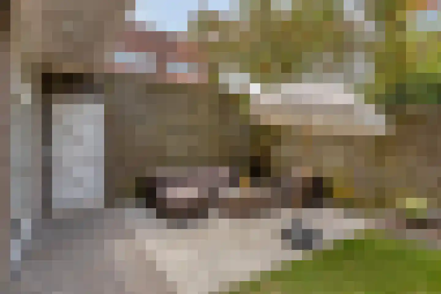 Geldersedam 46 's-Hertogenbosch thumbnail 8