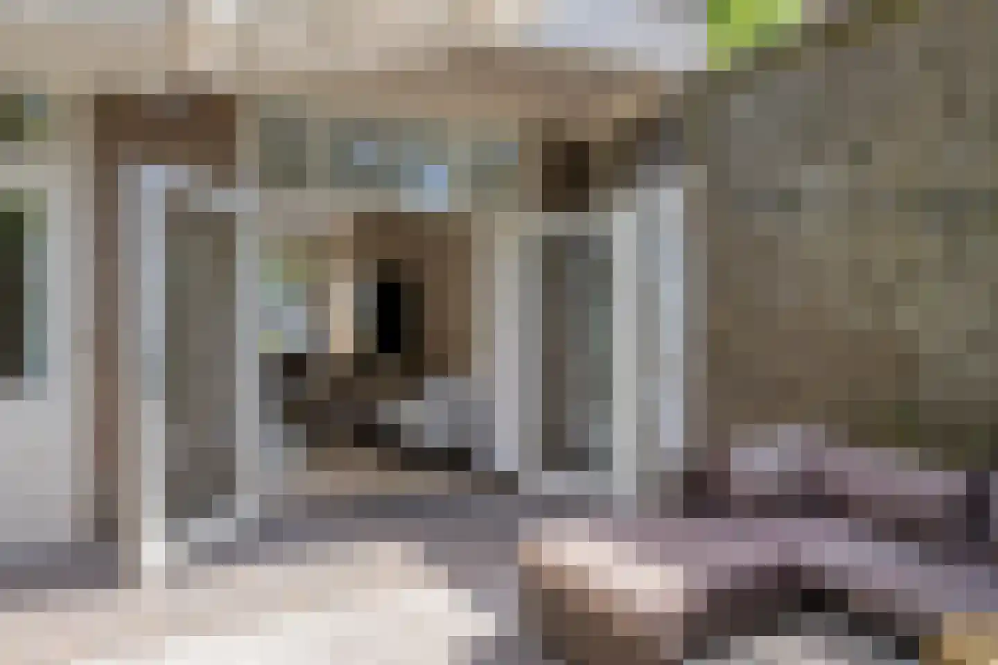 Geldersedam 46 's-Hertogenbosch thumbnail 9