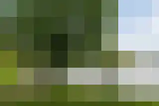 Geldersedam 47 A 's-Hertogenbosch thumbnail 13