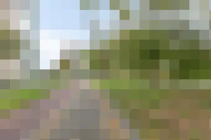 Geldersedam 47 A 's-Hertogenbosch thumbnail 18