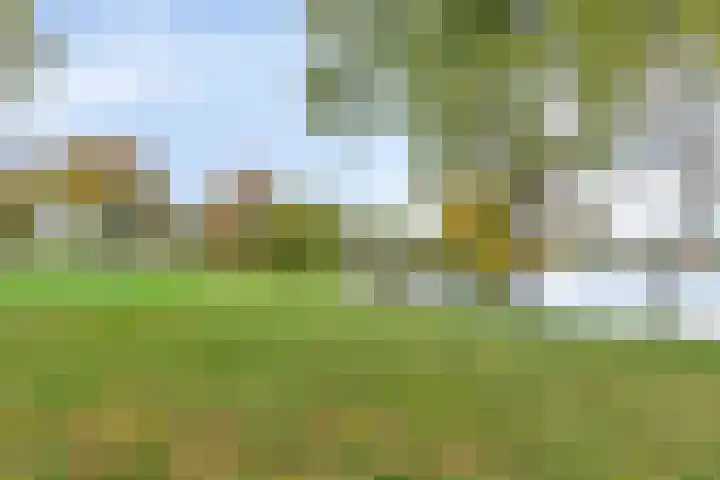 Geldersedam 47 A 's-Hertogenbosch thumbnail 19