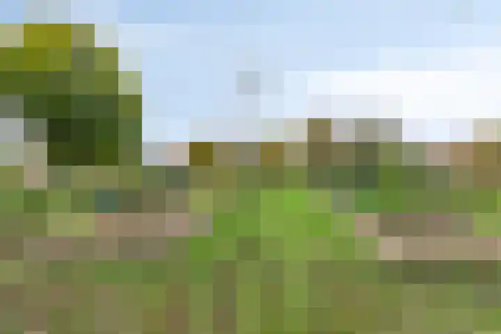 Geldersedam 47 A 's-Hertogenbosch thumbnail 21