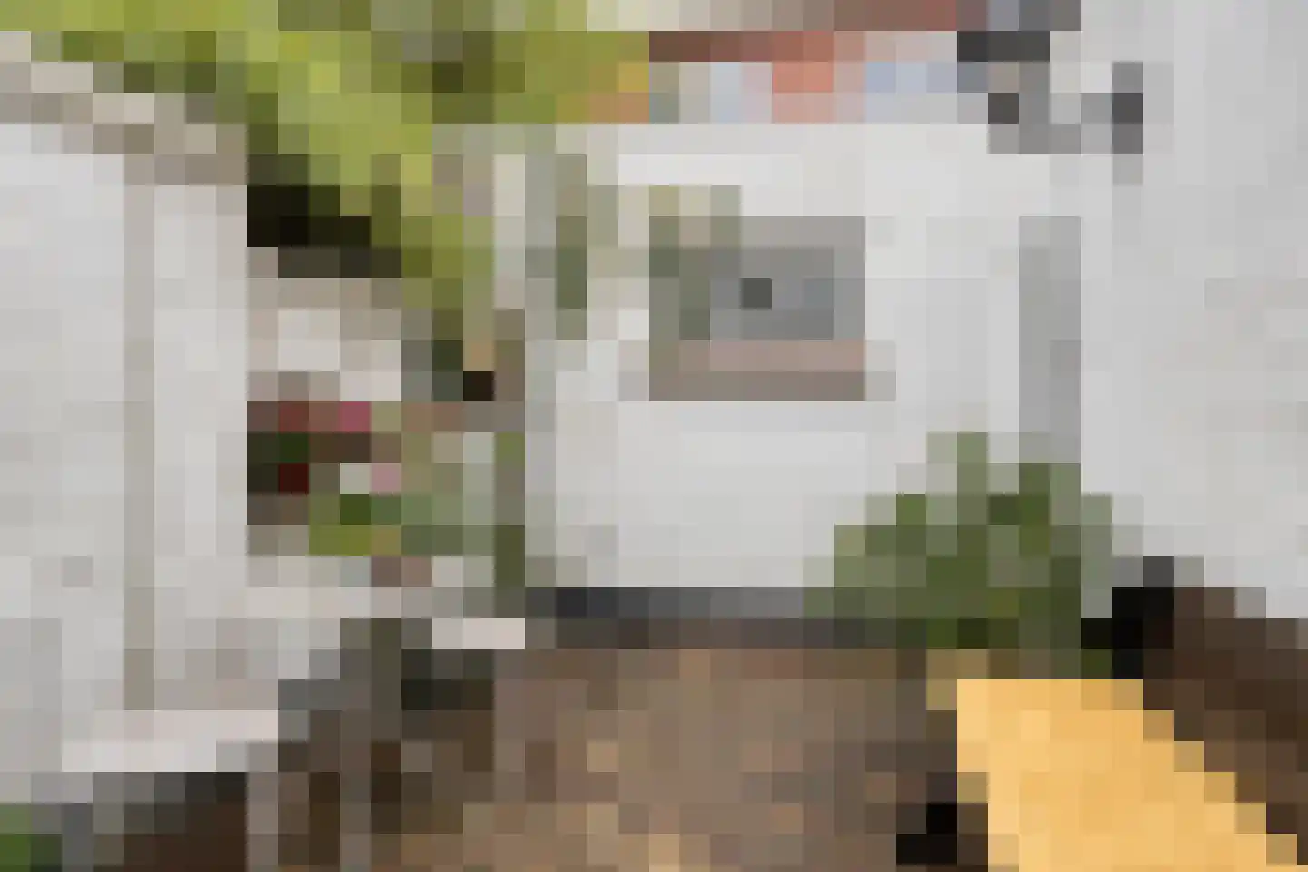 Geldersedam 62 's-Hertogenbosch thumbnail 22