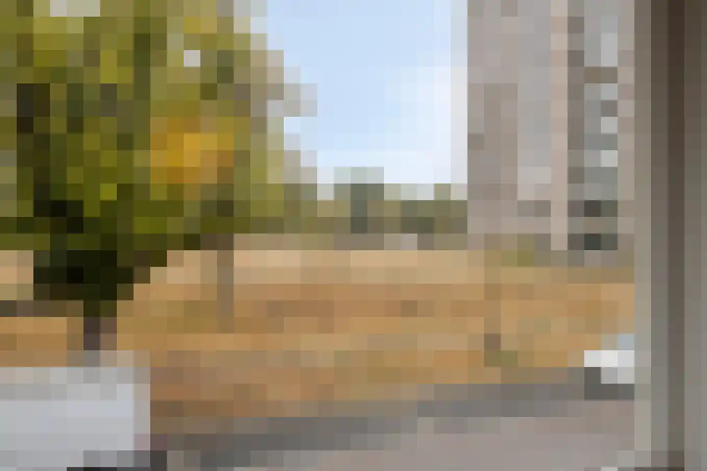 Geldersedam 62 's-Hertogenbosch thumbnail 34