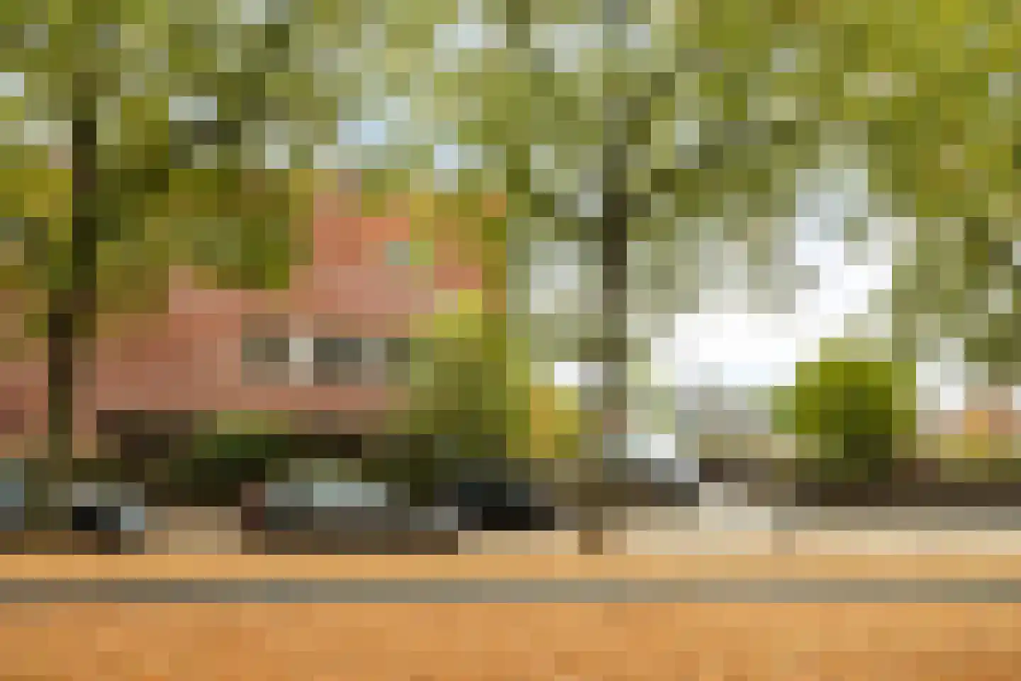 Geldersedam 62 's-Hertogenbosch thumbnail 50