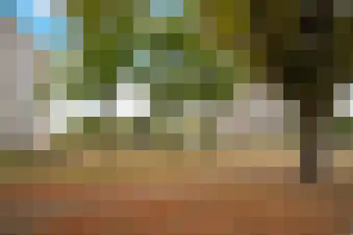 Geldersedam 65 's-Hertogenbosch thumbnail 38