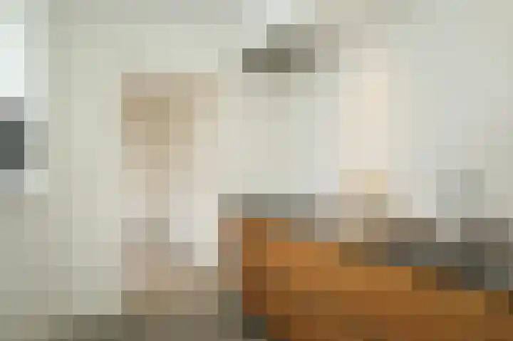 Geldersedam 65 's-Hertogenbosch thumbnail 8
