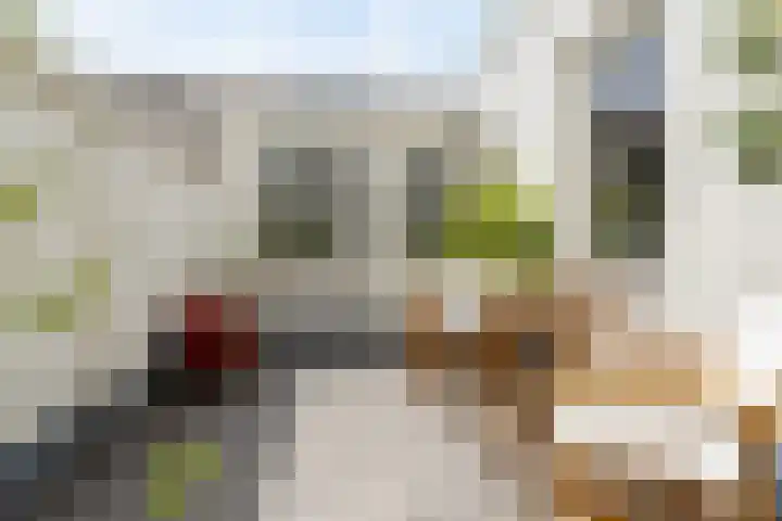 Geldersedam 70 's-Hertogenbosch thumbnail 33