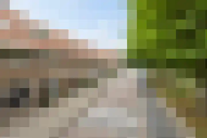 Geldersedam 70 's-Hertogenbosch thumbnail 4