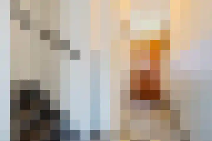Geldersedam 70 's-Hertogenbosch thumbnail 6