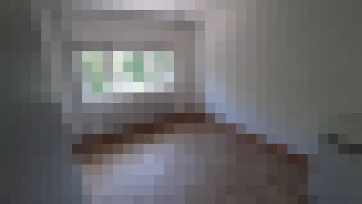 Geldersedam 's-Hertogenbosch thumbnail 4