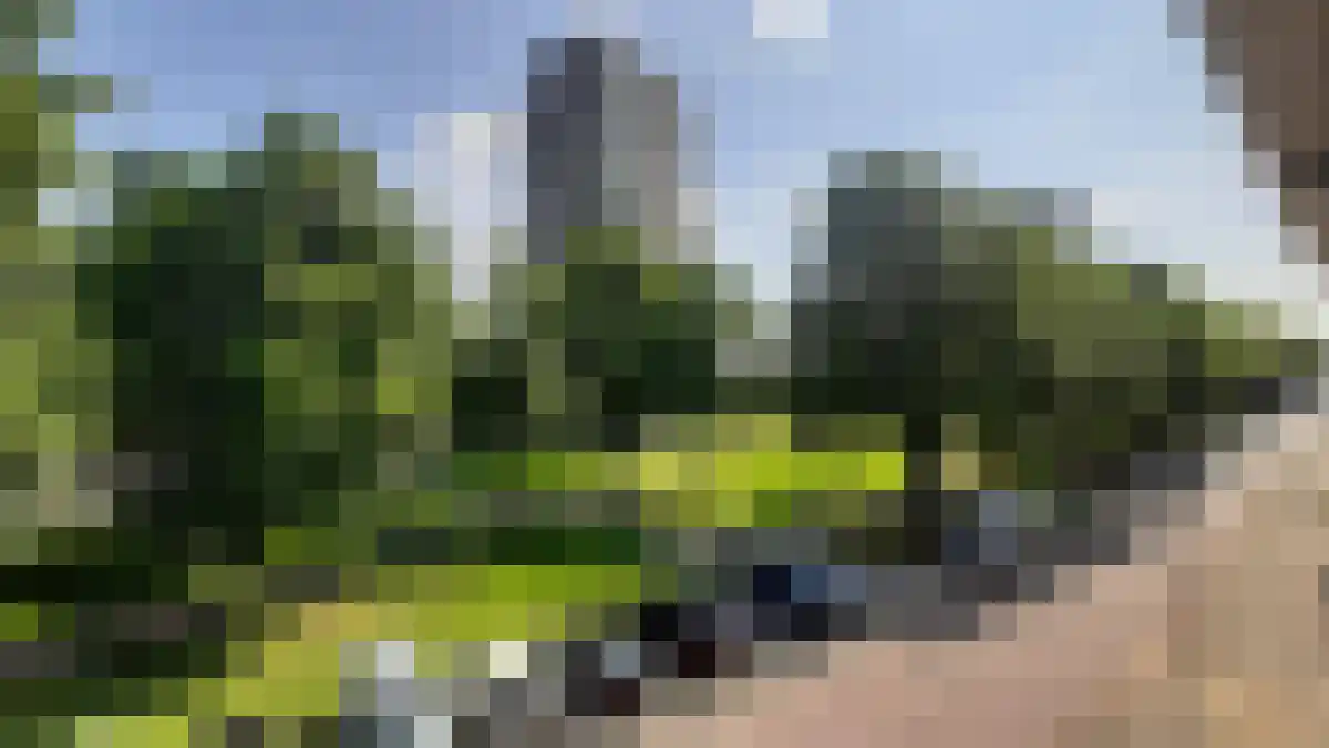 Geldersedam 's-Hertogenbosch thumbnail 6