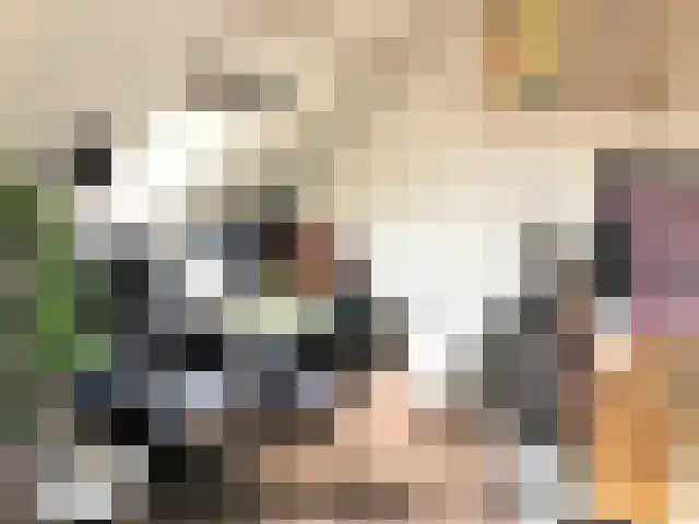 Geldersedam 's-Hertogenbosch thumbnail 6