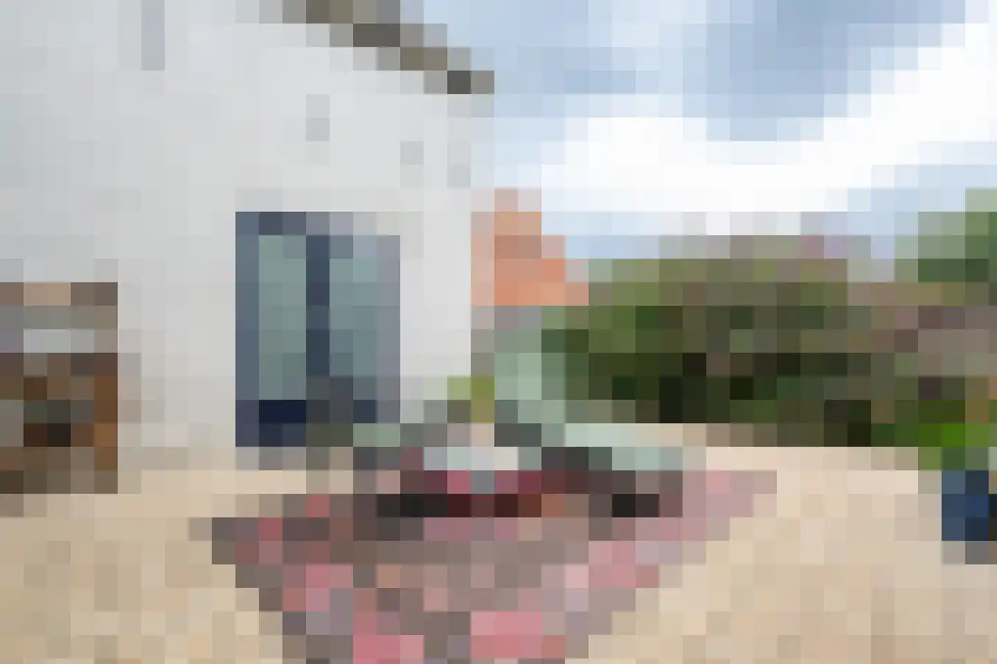 Geldersedijk 30 Dirksland thumbnail 26