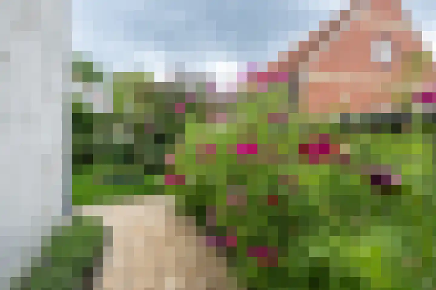 Geldersedijk 30 Dirksland thumbnail 28