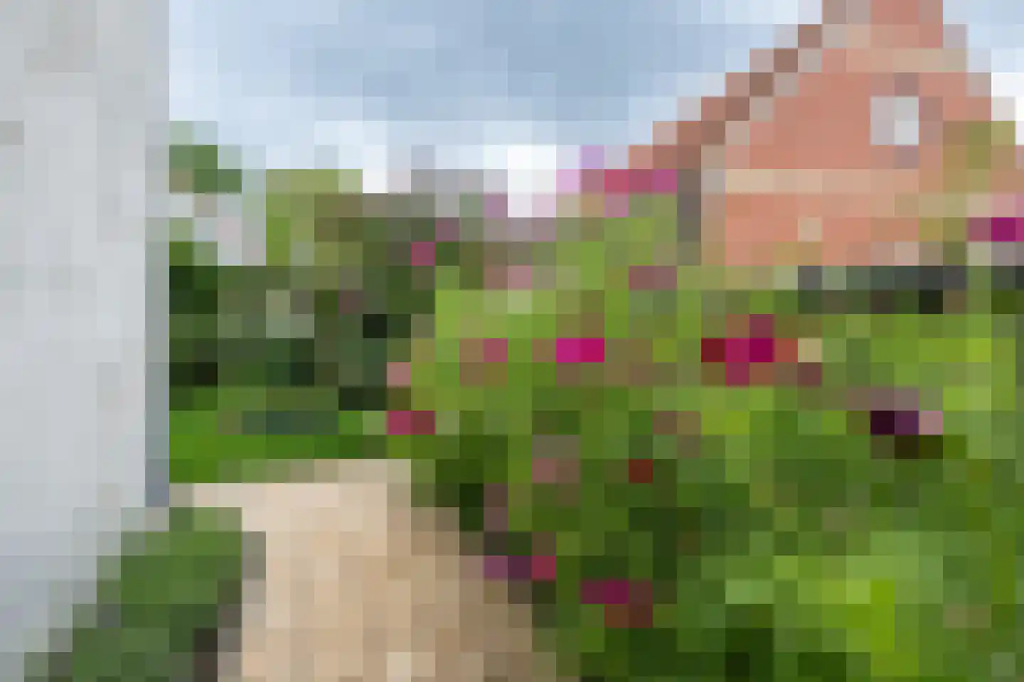 Geldersedijk 30 Dirksland thumbnail 28