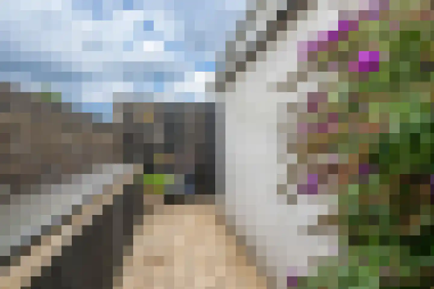 Geldersedijk 30 Dirksland thumbnail 33