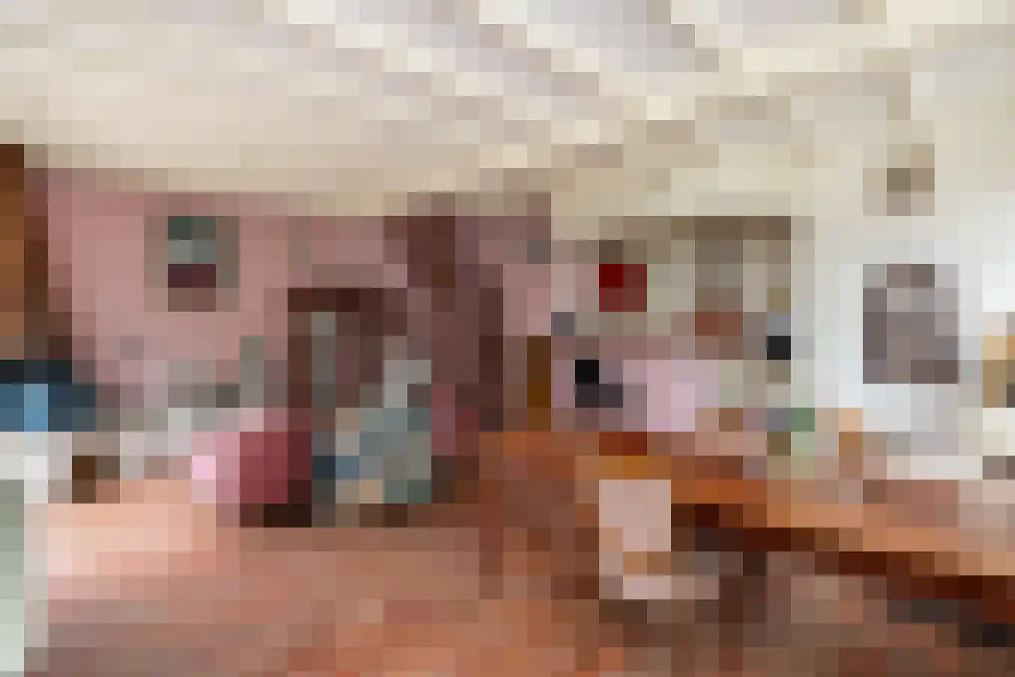 Geldersedijk 30 Dirksland thumbnail 8