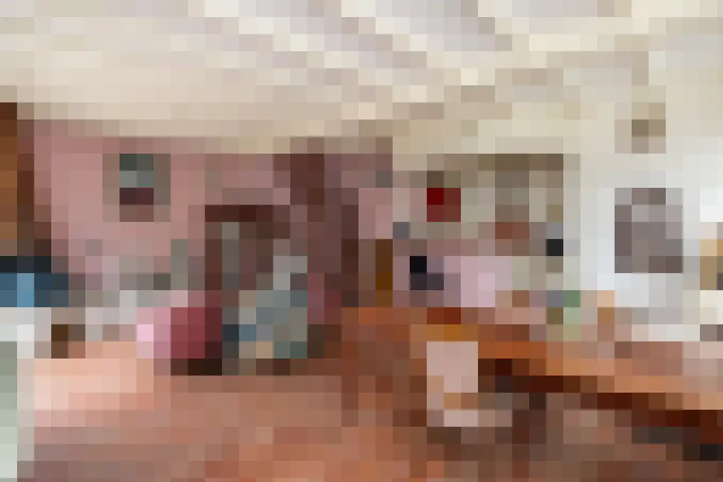 Geldersedijk 30 Dirksland thumbnail 8