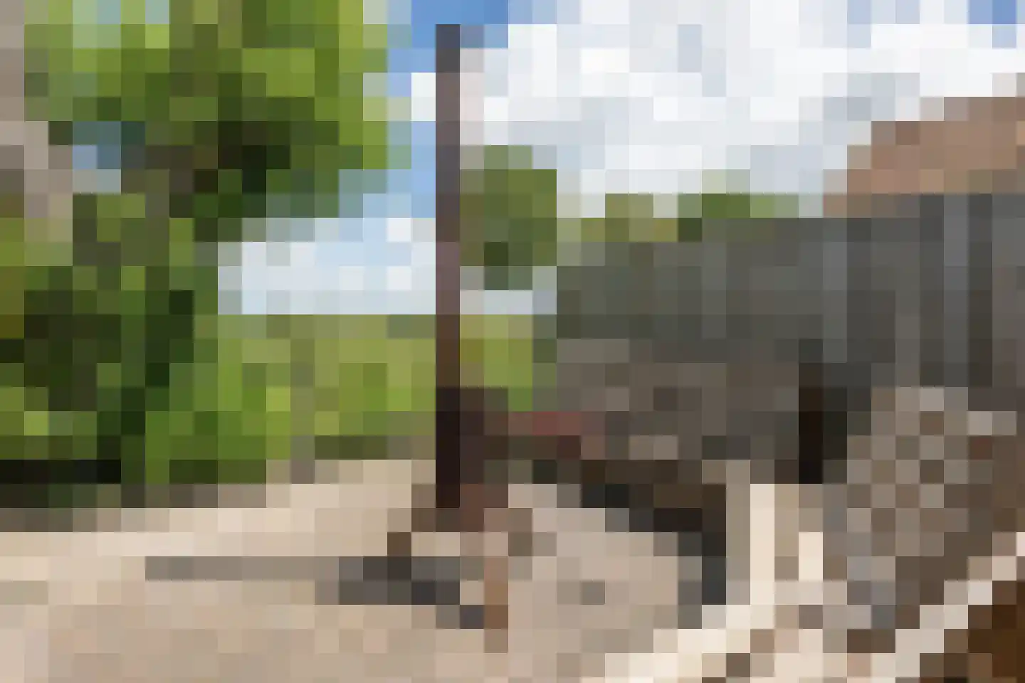Geldersedijk 49 Dirksland thumbnail 26