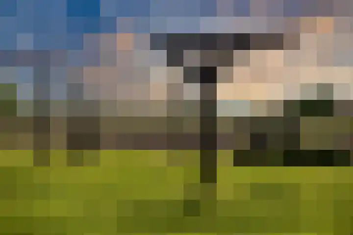 Geldersedijk 63 Hattem thumbnail 32