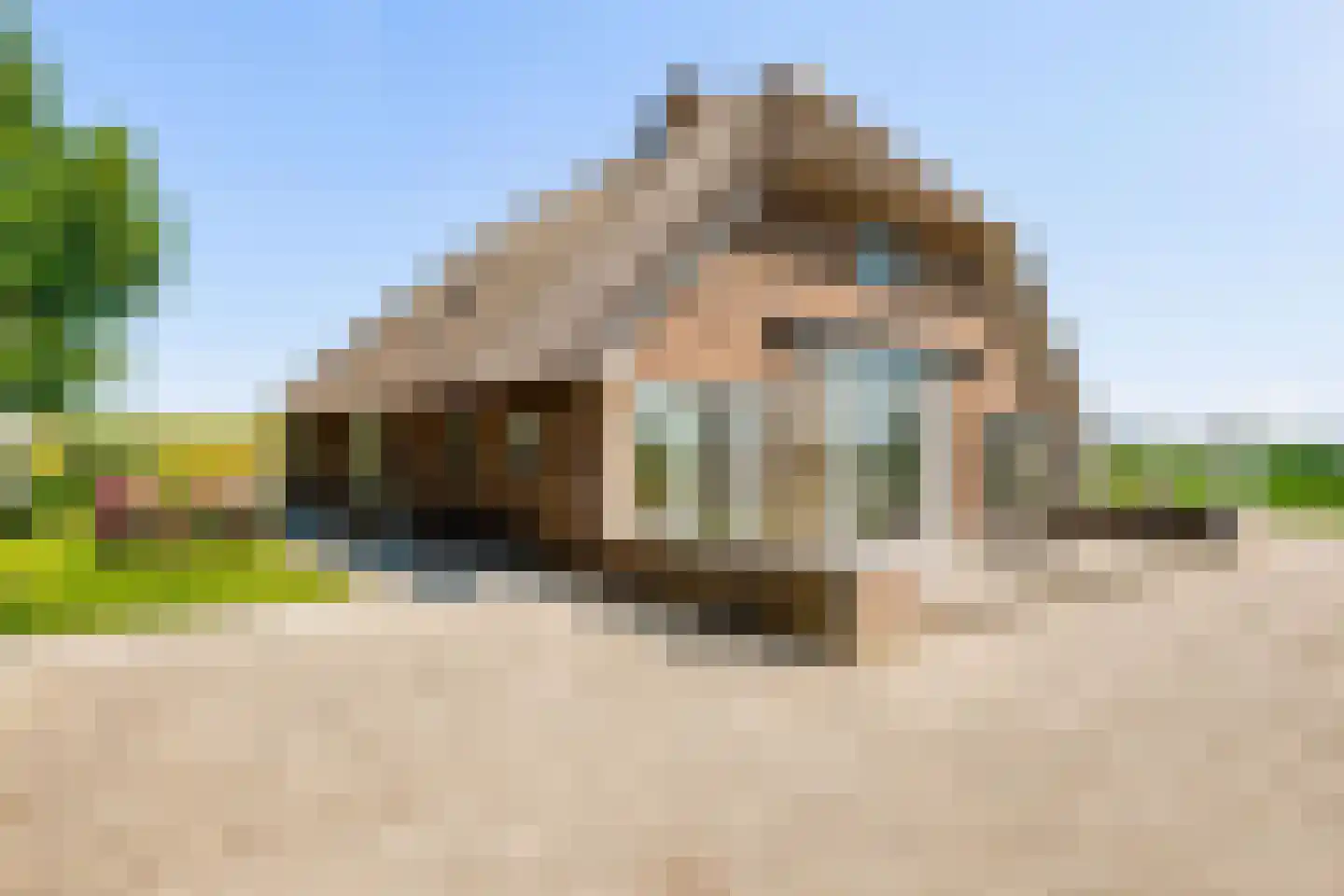 Geldersedijk 97 Hattem thumbnail 39