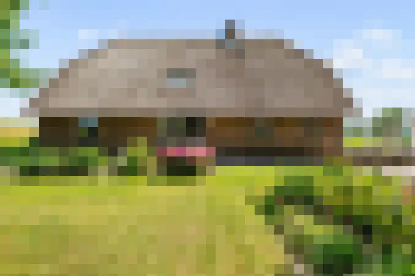 Geldersedijk 97 Hattem thumbnail 5