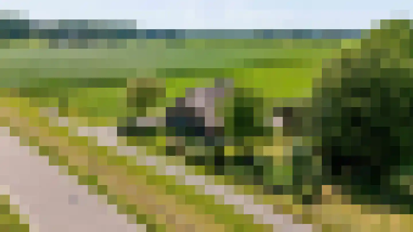 Geldersedijk 97 Hattem thumbnail 55