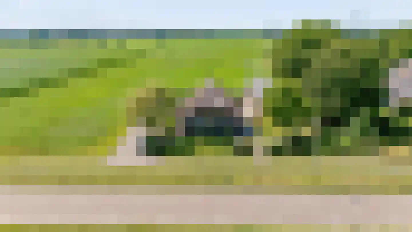 Geldersedijk 97 Hattem thumbnail 56