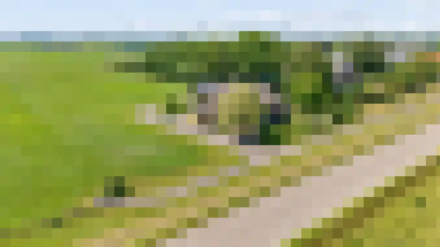 Geldersedijk 97 Hattem thumbnail 57
