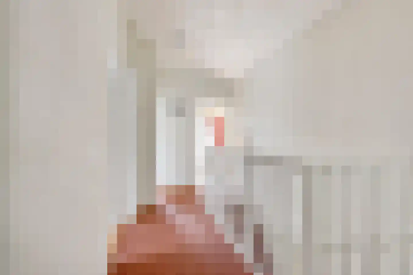 Geldersehoek 2 b Huissen thumbnail 15