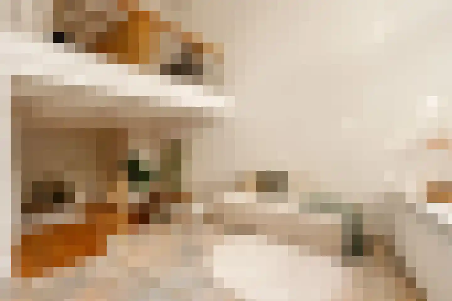 Geldersekade 52 Amsterdam thumbnail 4