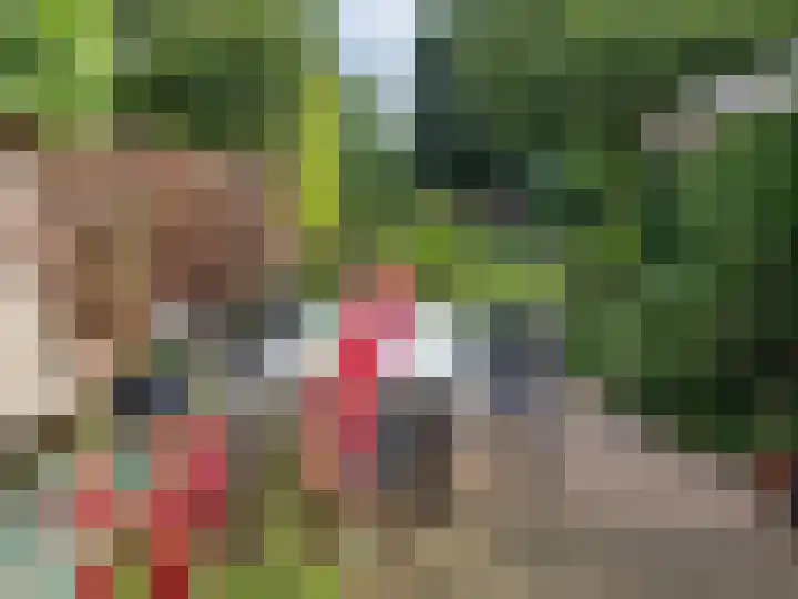 Gelderselaan 68 Nijmegen thumbnail 38