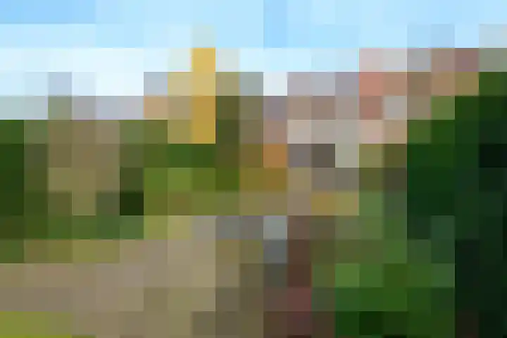 Gelderselaan 68 Nijmegen thumbnail 39