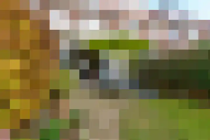 Gelderselaan 68 Nijmegen thumbnail 41
