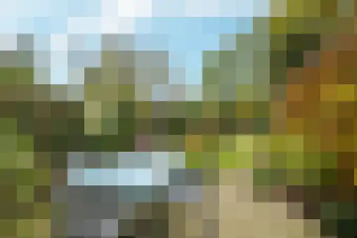 Gelderselaan 68 Nijmegen thumbnail 42