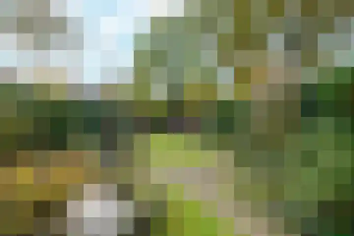 Gelderselaan 68 Nijmegen thumbnail 43