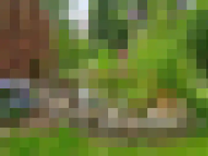 Gelderselaan 68 Nijmegen thumbnail 46